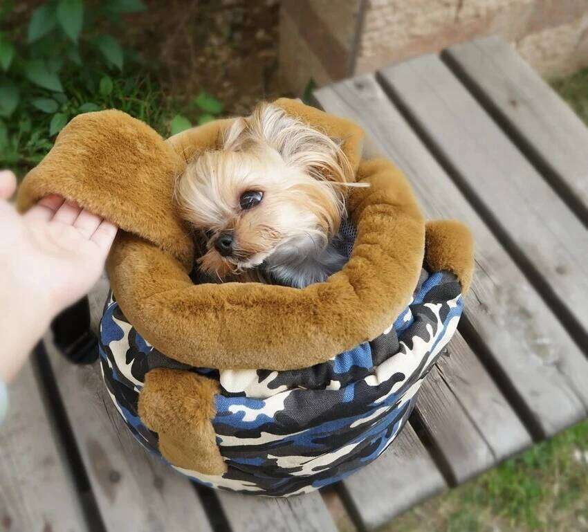 Luxury Thickened Warm Carrier for Cat Dog Backpack Teddy Chihuahua Puppy Winter Out Travel Bag Chest Pet accessories 26H0130