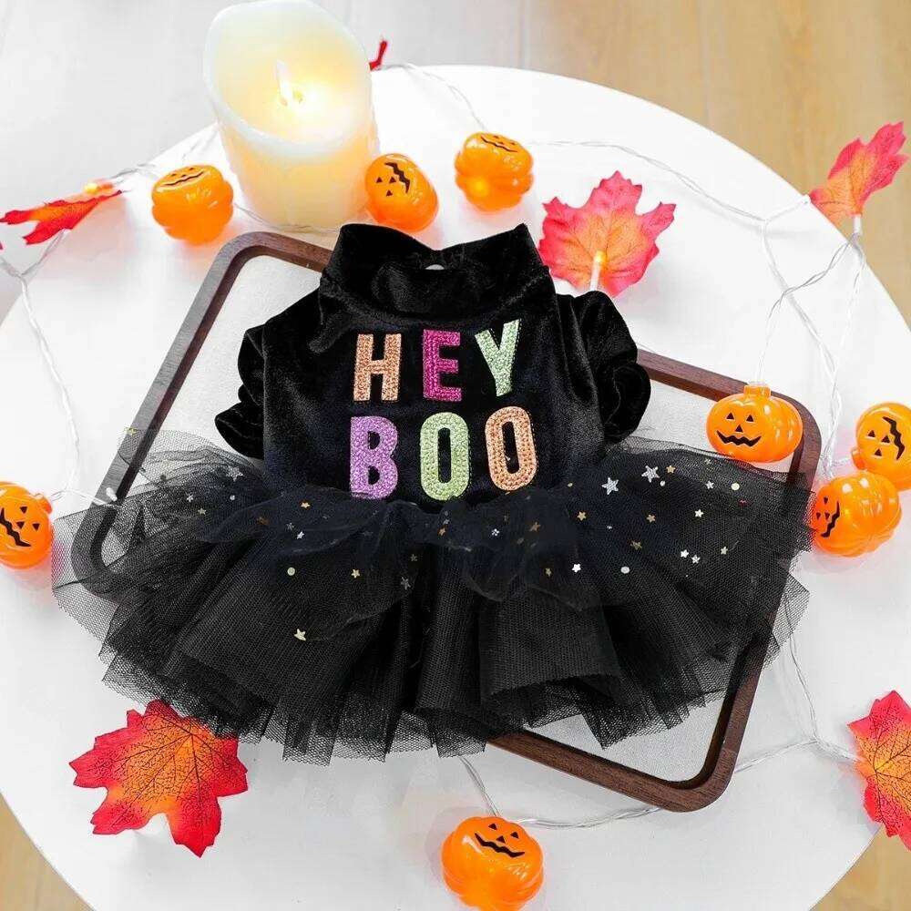 Puppy Costumes Two Legged Dress Soft Black Lace Skirt Comfortable Dog Pullover Halloween H260130