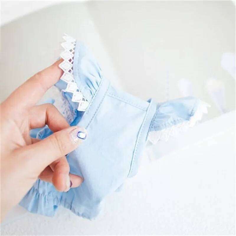 Spring Lace Wrinkle Elastic Blue Dress Teddy Bear Pet Supplies Dog Dresses for Small Dogs Puppy Clothes H260129