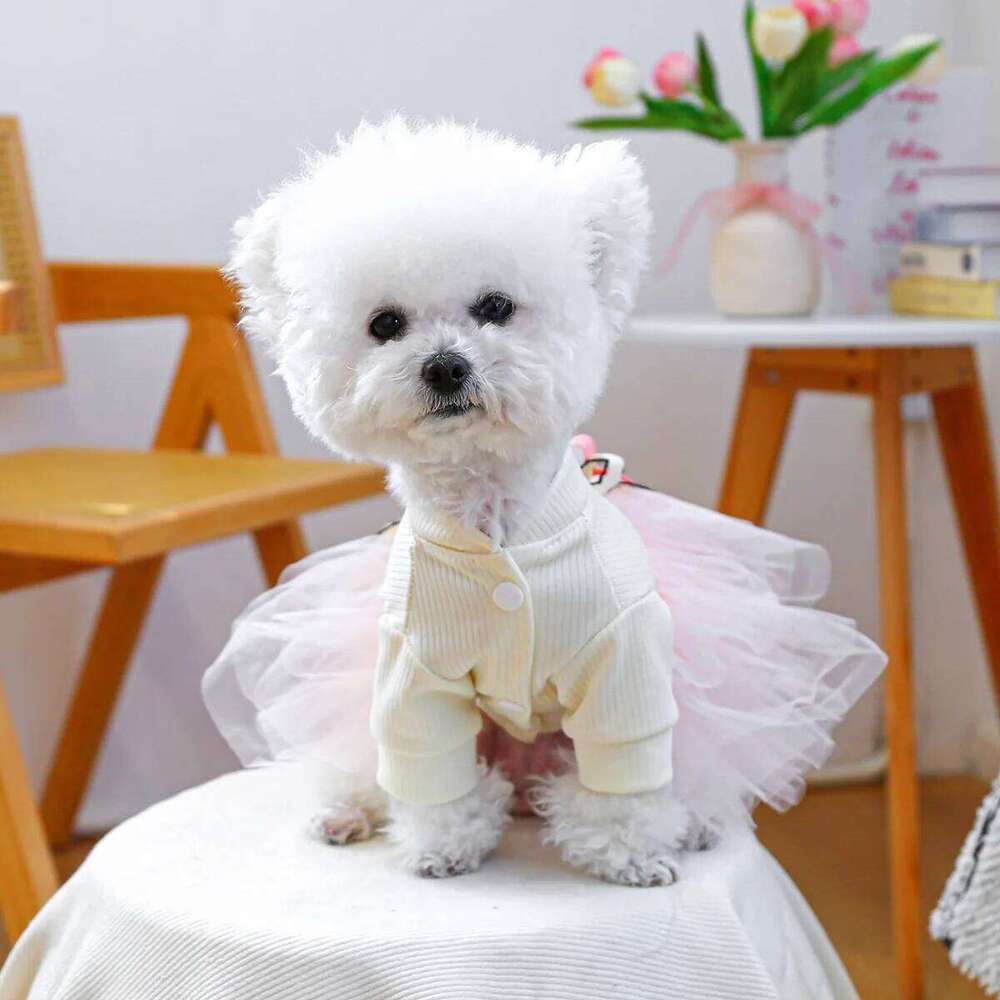 Fancy Bowtie Pet Dress For Dogs Spring Summer Puppy One Piece Apparel Girl Female Luxury Formal Cat Wear Yorkshire Terrier Item H260130