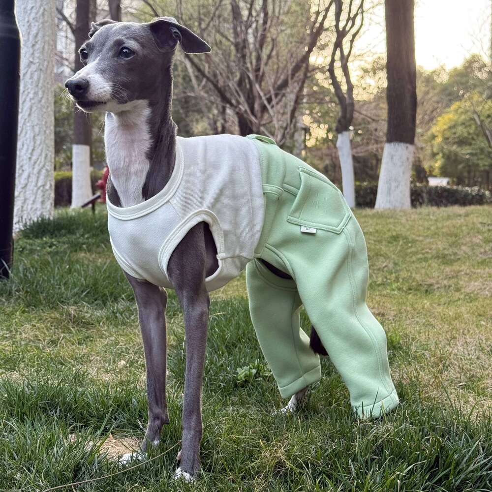 Famous brand Clothing Dogs One piece Spring Cotton Denim Jumpsuit High stretch T shirt Pant for Italian Greyhound Poodle Green Costumes pupakaIK