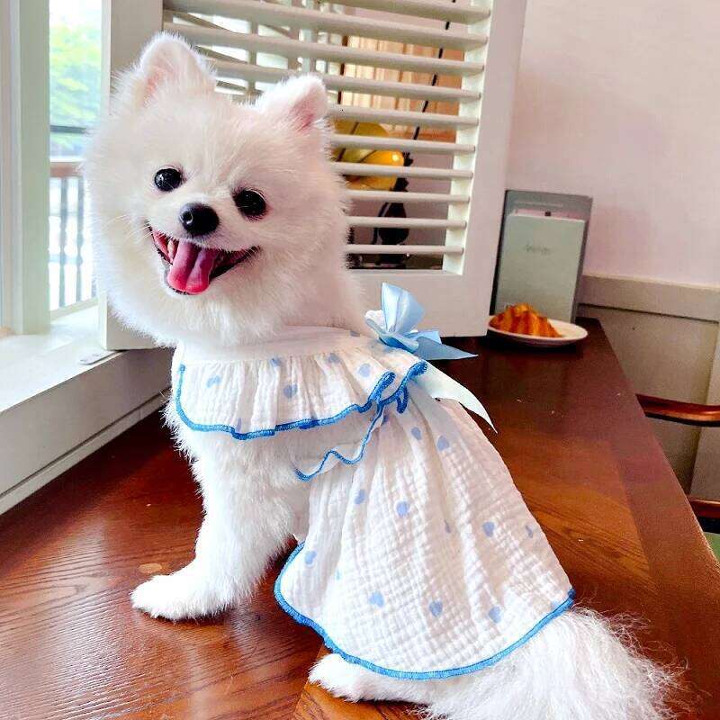 Luxury Clothes Heart Print Bow Chihuahua Sweet Skirts Puppy for Girl Dog Cat Princess Dress Pet Costume Bichon H260129