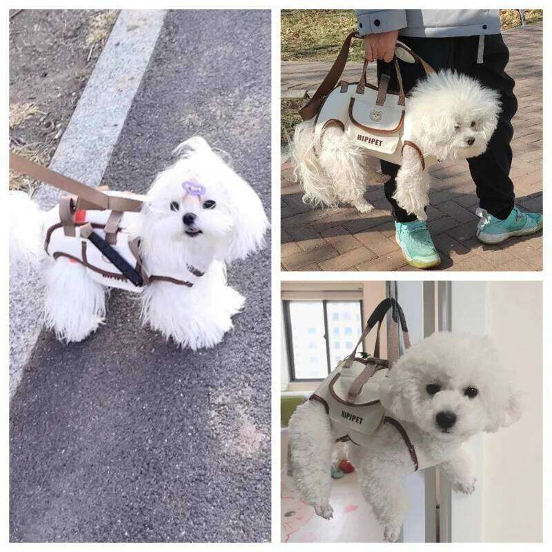 Pets Outdoor Carrying Bag Small Dogs And Medium-sized Cats with Harnesses Clip Adjustable Shoulder Handheld for Hiking Daily Use 26H0130