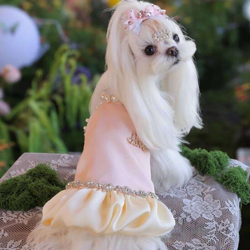 Small Clothes Thin Puppy Dress Luxury Cool Breathable Silk Feel Princess Dog Clothing chihuahua Pomeranian Apparel Costume H260130