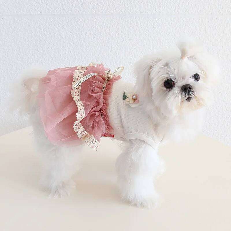 Korea Style Costumes For Dogs Girl Female Summer Spring New Baby Puppy Animal Kawaii Pink Green Pet Skrit Cat Apparel Supply H260129