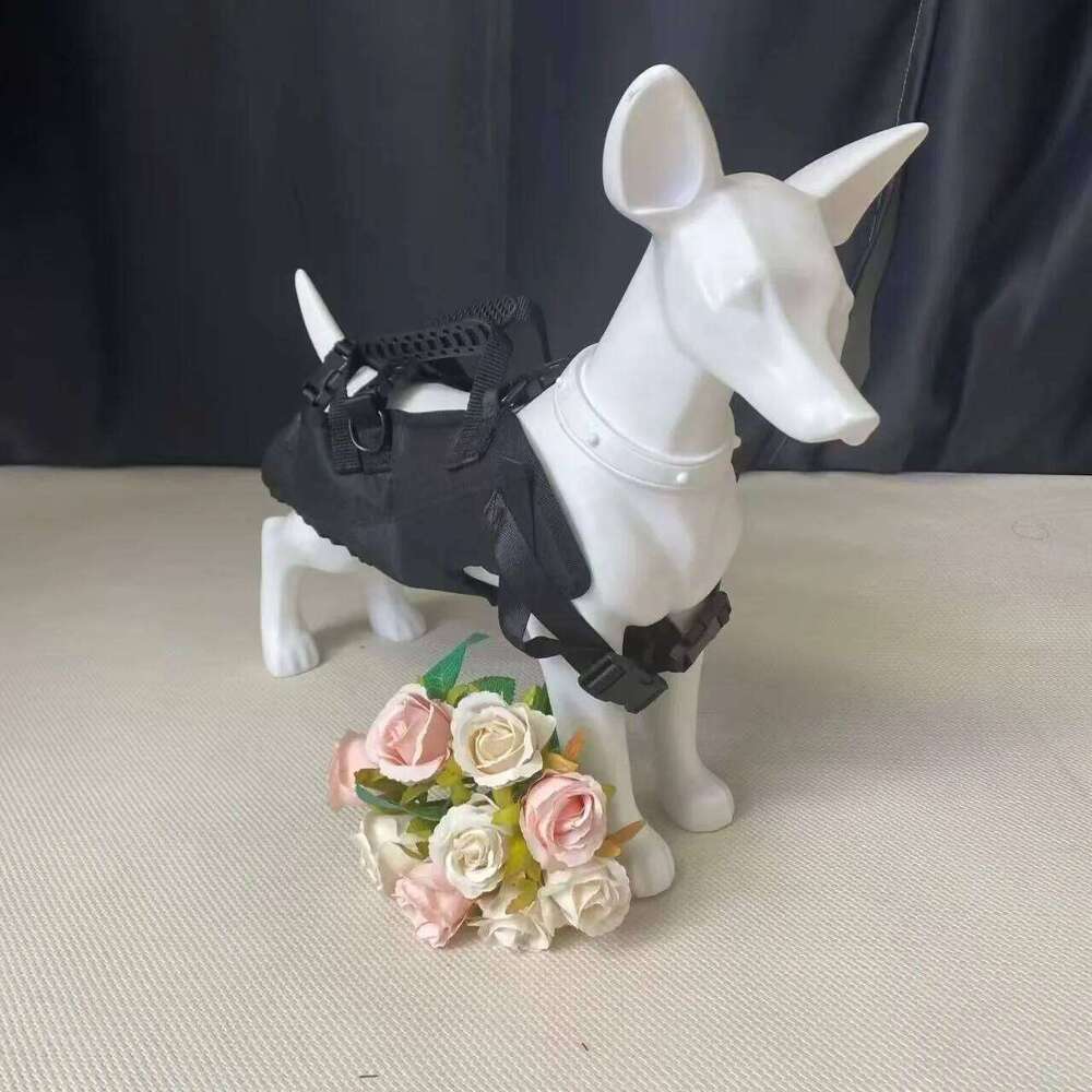 Pet Travel Backpack3 sizes Shoulder Outdoor Hiking Walking Durable Comfortable Oxford Fabric Dog/Cat Carrier 26H0130