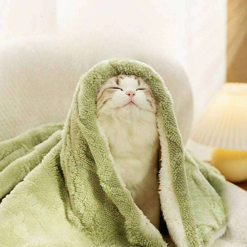 EFF Thickened Ultra-soft Plush Pet Blanket Dogs Cats Warm Soft Sleeping Mat Comfortable for Winter 26W01130