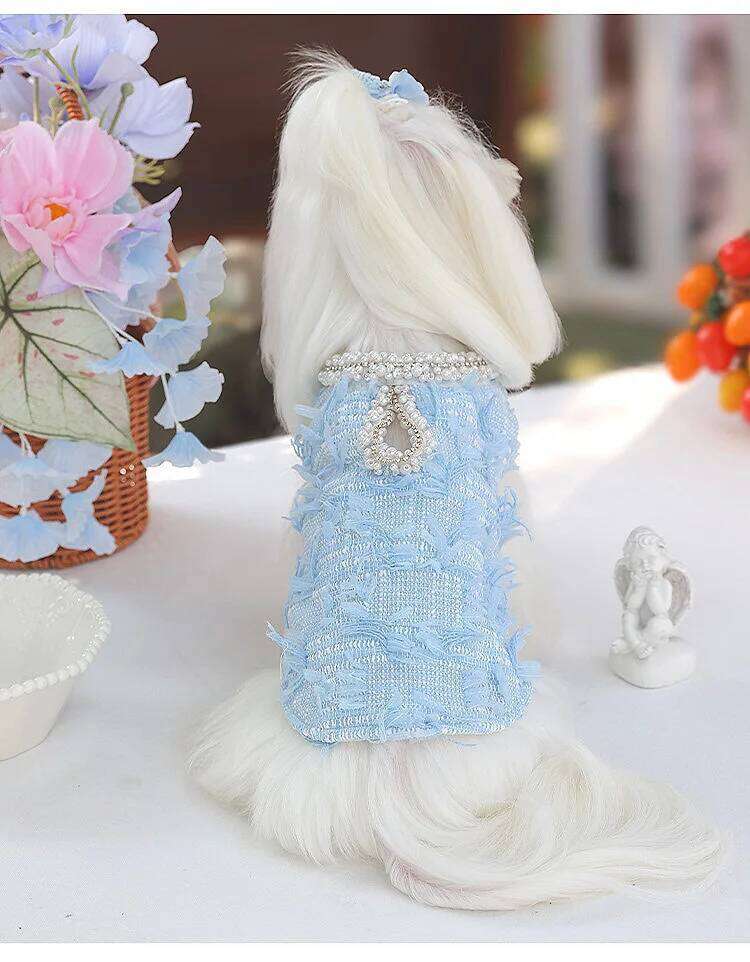 High-End Custom Blue Wool Pearl Collar Pet Dress For Small Dogs H260129