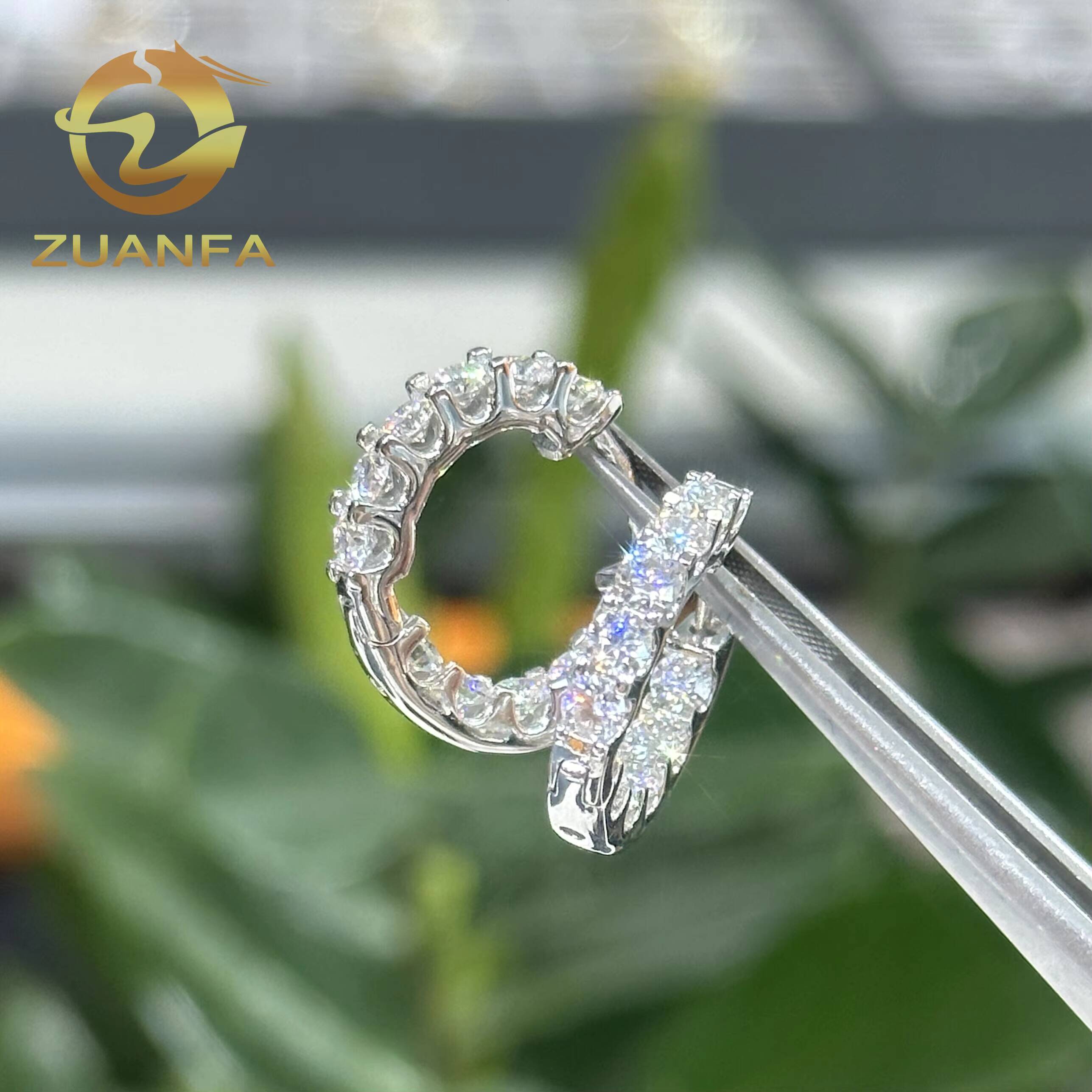 Pass Diamond Test High Quality Hip Hop Moissanite Stud Earring Hoop 925 Sterling Silver Moissanite Stud Earrings for Men Women