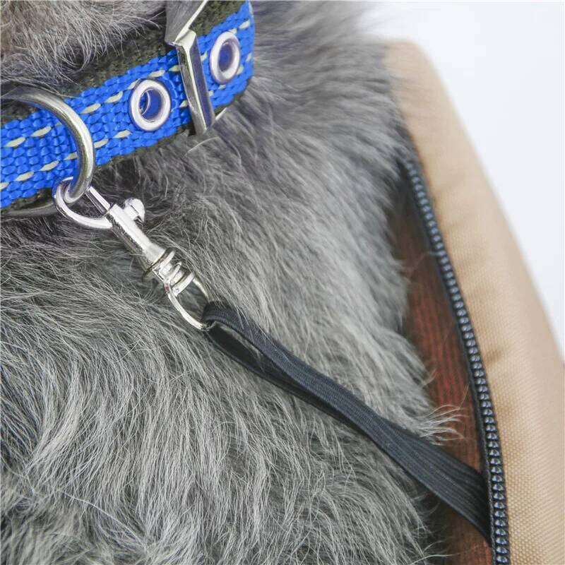 New portable dog cat bag, single shoulder manufacturer handbag, foldable pet bag for outdoor use 26H0130