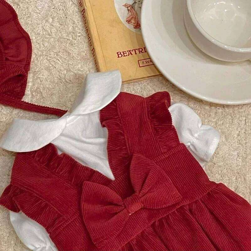 Warm Red Female Clothes Winter Dress Teddy Pullover Pomeranian Solid Colour Puppy Skirt Small Dog Pet Princess Dresses H260130