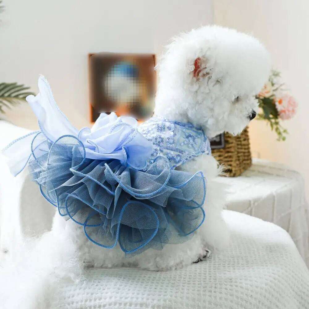 Gown Fluffy Princess Dress Cute Blue Puppy Fairy Skirt Breathable Big Bow Pet Costume Photograph Prop H260129