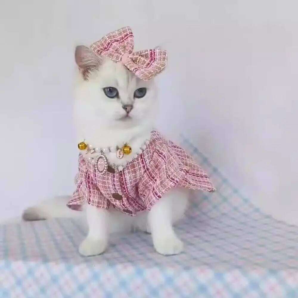 Supplies Cute Princess Dress Breathable Thin Design Dog Bow Pearl Coat Soft Pet Clothes for Kittens Puppy H260129