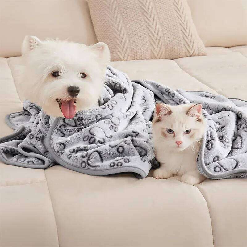 EFF 2PCS Soft Fluffy High Quality Cute Cartoon Pattern Paw Print Dog Pet Mat Warm and Comfortable Blanket for Cat Dogs 26W01130