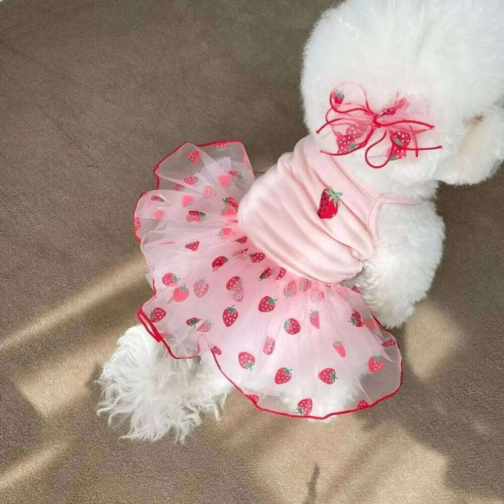 Sweet Cute Dog Dresses XS-XL Princess Dress Pet Clothes Strawberry Daisy Pattern Sleeveless Cat Skirts Daily Wear H260130