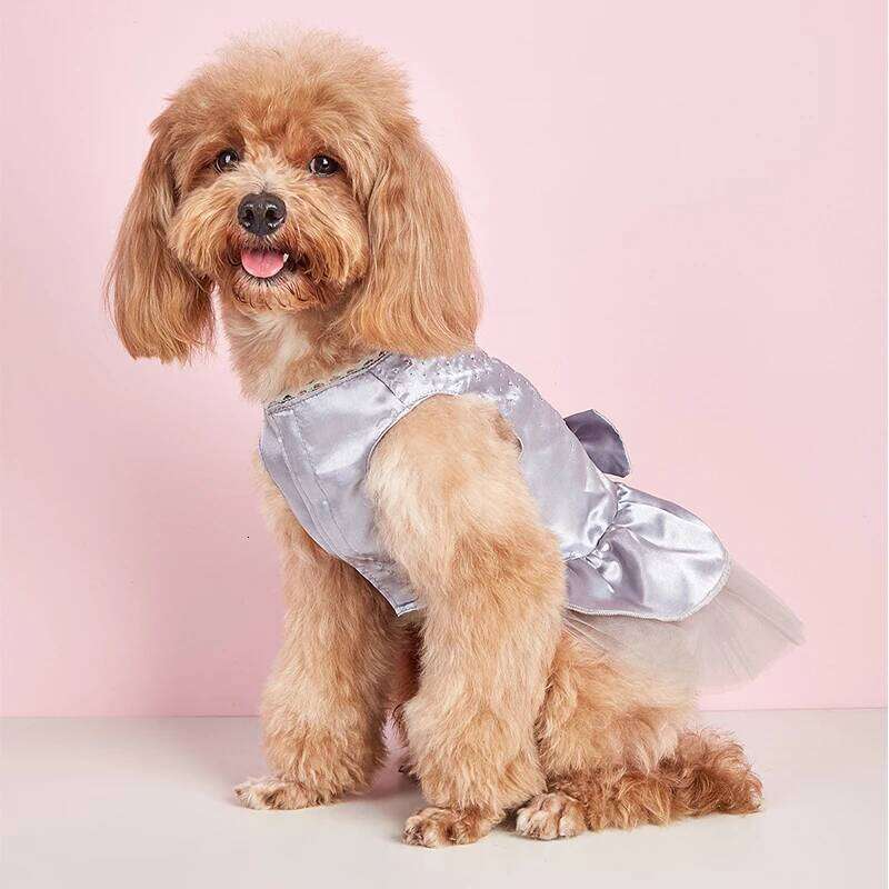 Summer Dress Lace Pet Clothing Chihuahua Tulle Skirt Cat Princess Apparel Cute Puppy Clothes Dog Accessories H260129