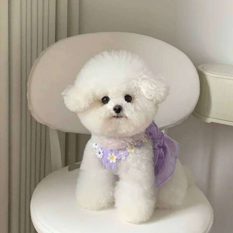 Ins Flower Strap Jacquard Embroidery Summer Sweet Outdoor Skirt Pet Suspender Dress Vest Dresses for Small Dog H260130