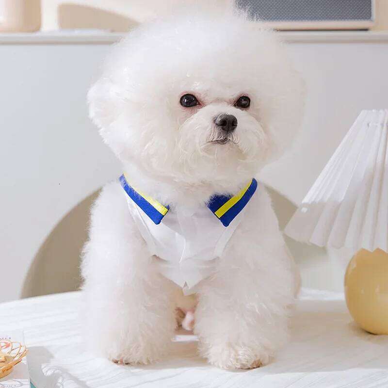 Princess Skirt Pet Dog Clothes Sweet Dress for Dogs Clothing Cat Small Print Cute Thin Spring Summer Girl Chihuahua H260130