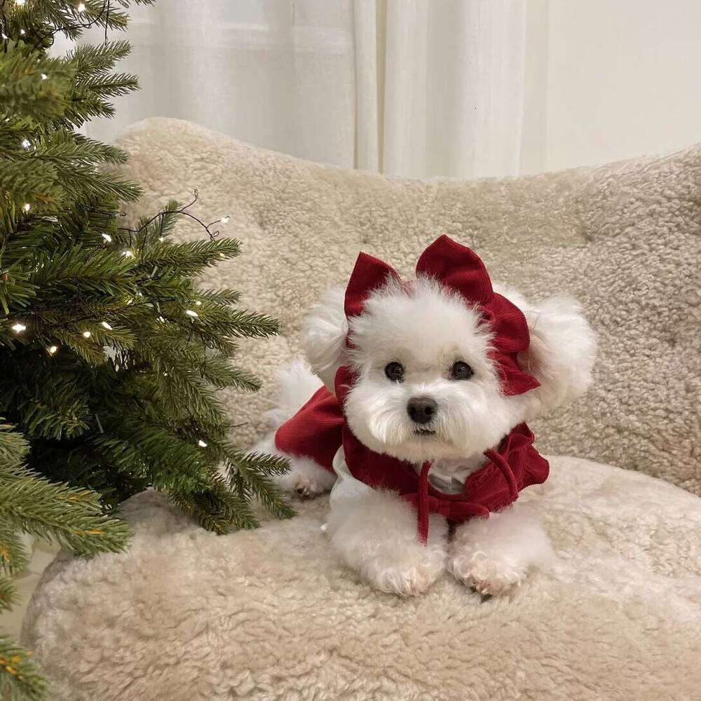 Cute Dog Dress Winter for Small Breeds Bichon Poodle Clothing Fashion Outfit Decoration Pet Supplies H260130