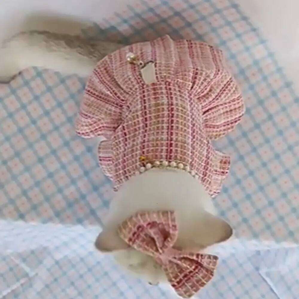 Supplies Cute Princess Dress Breathable Thin Design Pet Windbreaker Soft Cat Skirt Autumn Winter H260129