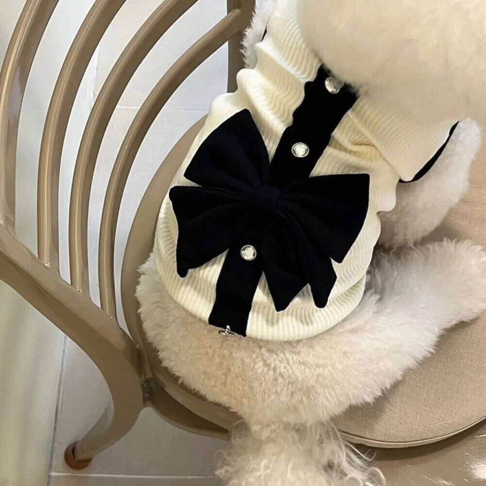 Luxury Dress for Small Summer Puppy Clothes Bow Lace Skirt Black White T-Shirt Girls puppy Costume Chihuahua Vest H260129