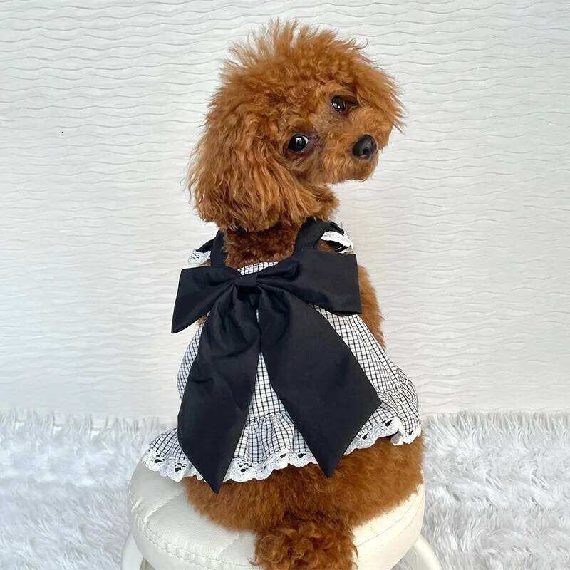 Plaid Ruffle Dresses with Big Bow Teddy Chihuahua Maltese Cat Outfits Medium Dog Clothes H260129