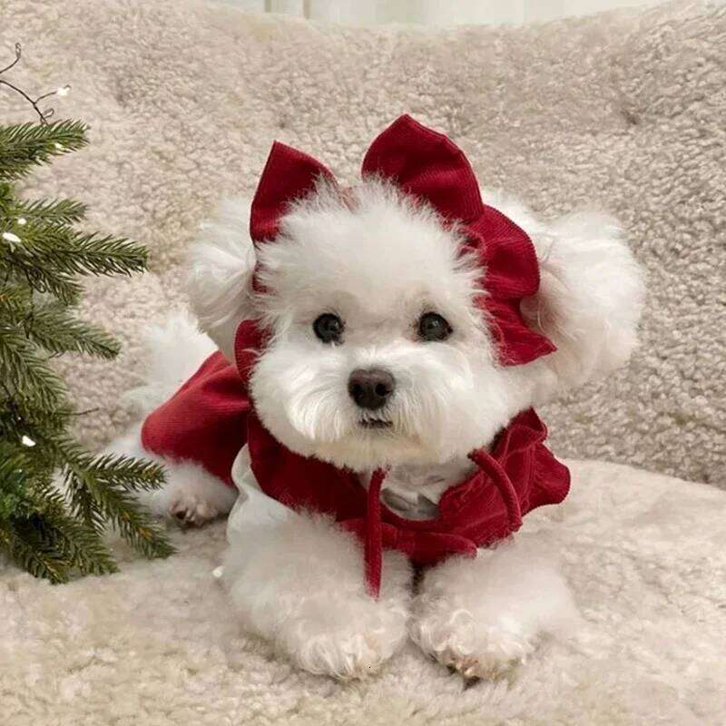 Warm Red Female Clothes Winter Dress Teddy Pullover Pomeranian Solid Colour Puppy Skirt Small Dog Pet Princess Dresses H260130