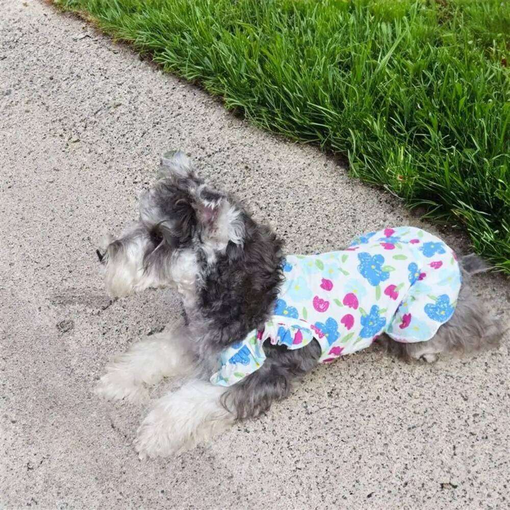 Fashion Soft Floral Breathable High-end Princess Thin Pet Suspender Dress Small/Medium Dog H260130