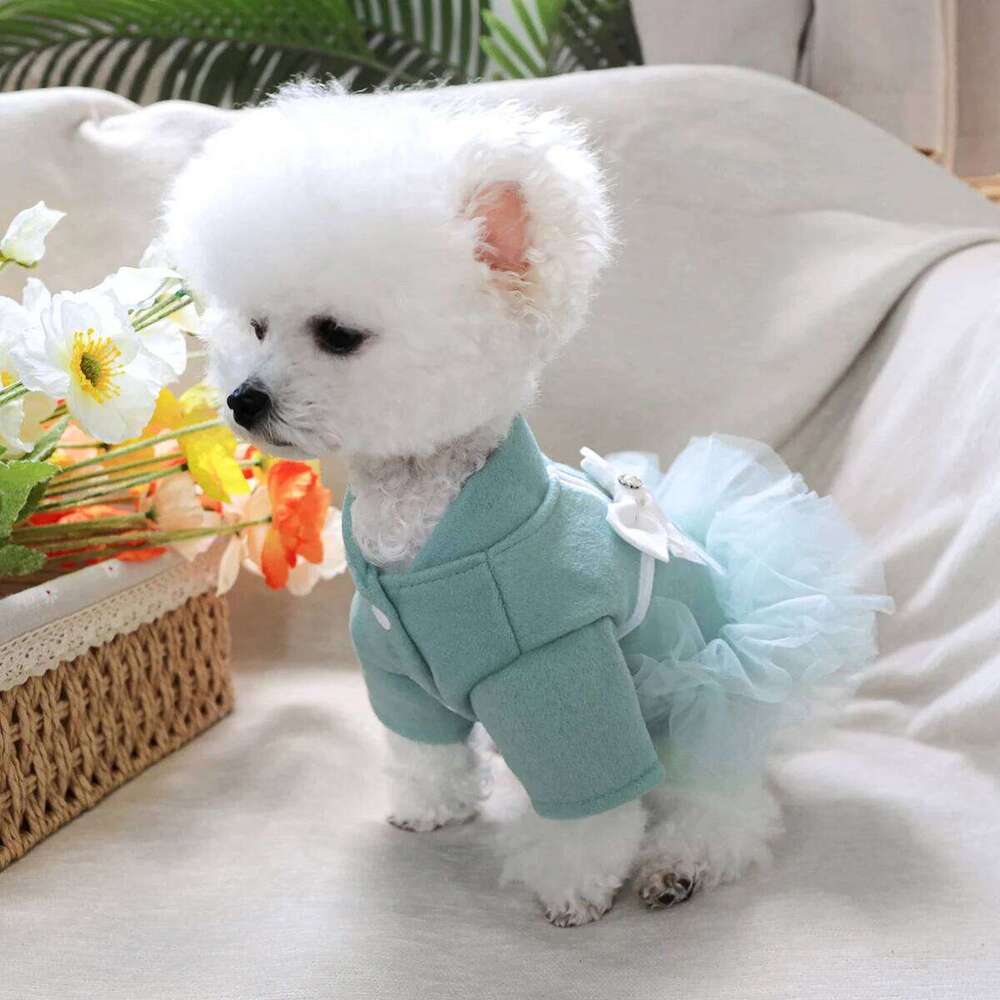 1PC Pet Clothes Dog Cat Autumn Thickened Warm Lake Blue Bow Open Mesh Dress H260130