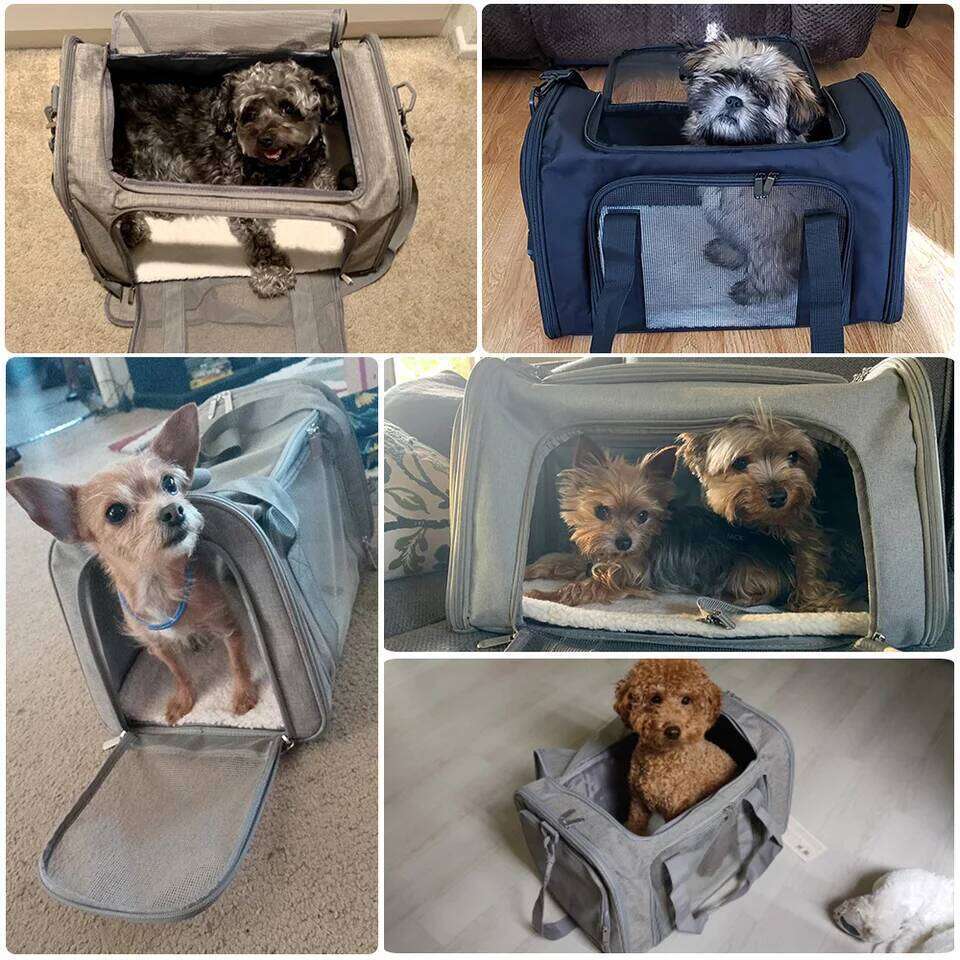 Carrier Bag Soft Side Backpack Cat Pet Carriers Dog Travel Bags Airline Approved Transport For Small Dogs Cats Outgoing - view 7