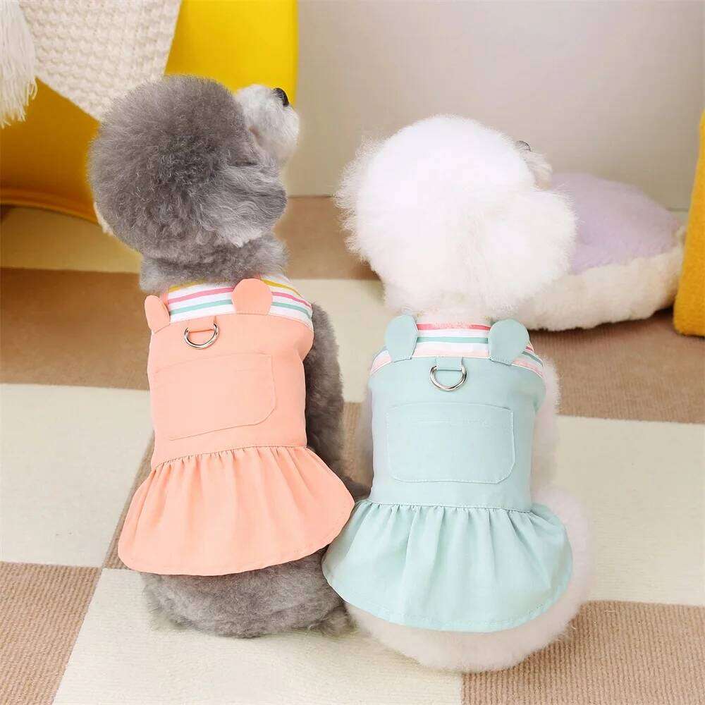 Spring Clothing for Small Dogs Summer Striped Puppy Princess Skirt Cute Cat Dress Pet Dog Costume Apparel H260130