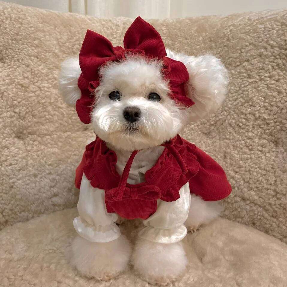 Cute Dog Dress Winter for Small Breeds Bichon Poodle Clothing Fashion Outfit Decoration Pet Supplies H260130