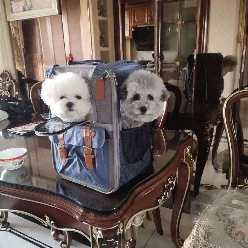 accessories Dog bed Backpack for Chihuahua French Bulldog Poodle ventilate Small dog carrying Cat backpack 26H0130