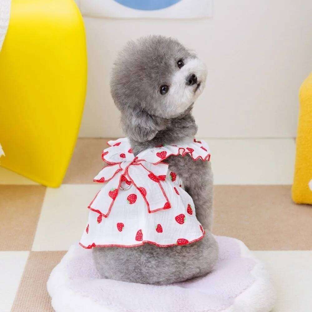 Cute Strawberry Print Dress Chihuahua Clothing Sweet Summer Puppy Skirt Bow Cool Dog Clothes Pet Supplies H260129