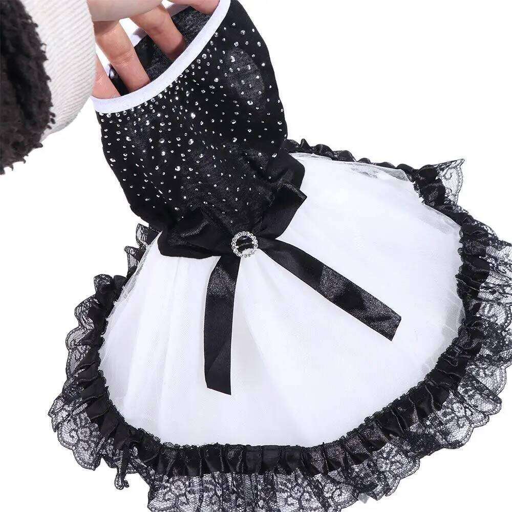 Beautiful Black-white Glitter Bow Skirt Diamond Formal Skirts with Lace Trim Dot Tutu Dog Dress Photo Prop H260130