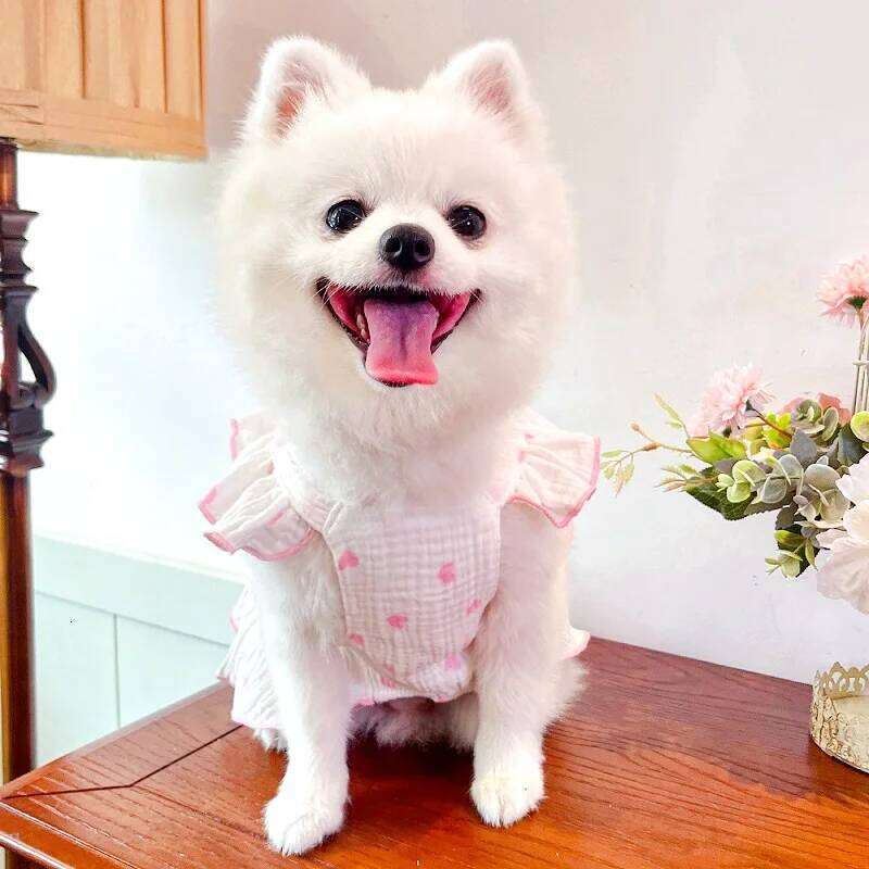 Luxury Clothes Heart Print Bow Chihuahua Sweet Skirts Puppy for Girl Dog Cat Princess Dress Pet Costume Bichon H260129