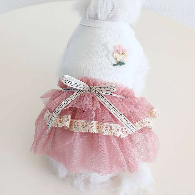 Korea Style Costumes For Dogs Girl Female Summer Spring New Baby Puppy Animal Kawaii Pink Green Pet Skrit Cat Apparel Supply H260129