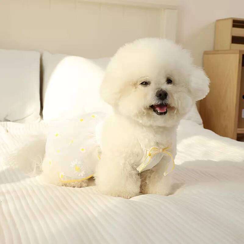 Summer Thin Puppy Princess Skirt Clothes Cute Dog Dress for Small Dogs Chihuahua York Clothing Pet Supplies H260130