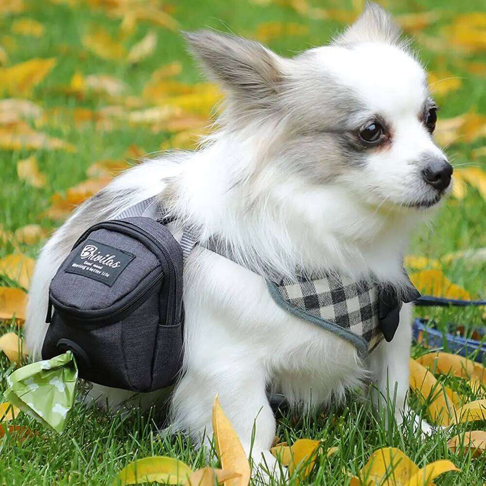 Portable Training Outdoor Pet Treat Pouch Puppy Snack Reward Waist Poop Bag Dog Carriers Bags 26H0130