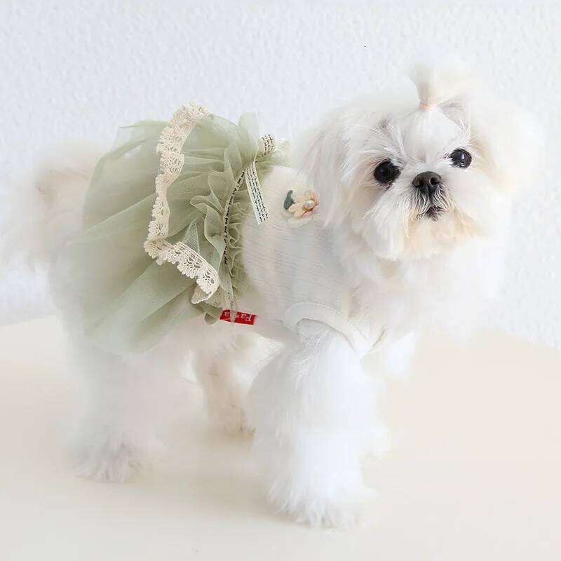 Korea Style Costumes For Dogs Girl Female Summer Spring New Baby Puppy Animal Kawaii Pink Green Pet Skrit Cat Apparel Supply H260129