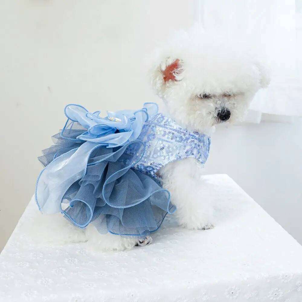 Gown Fluffy Princess Dress Cute Blue Puppy Fairy Skirt Breathable Big Bow Pet Costume Photograph Prop H260129