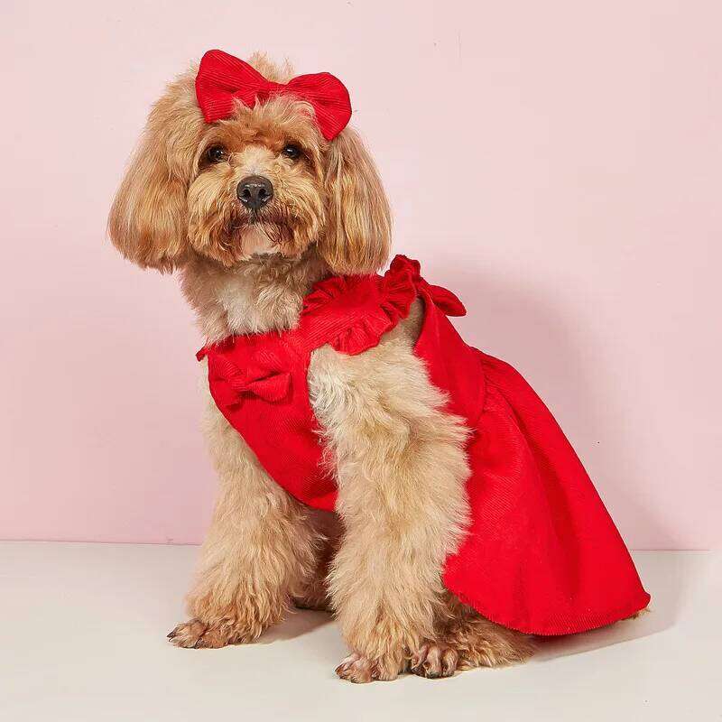 New autumn winter cute bow dog clothes, puppy skirts, elegant, fashionable and versatile small fresh style pet clothes H260129