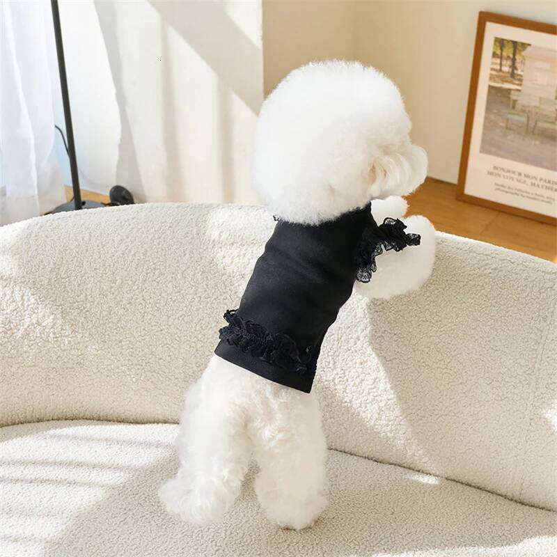 Black Lace Ruffle Shirt for Small Dog Girl Dresses Cat Dress Puppy Outfits Size XS-XL Chihuahua Clothes H260129