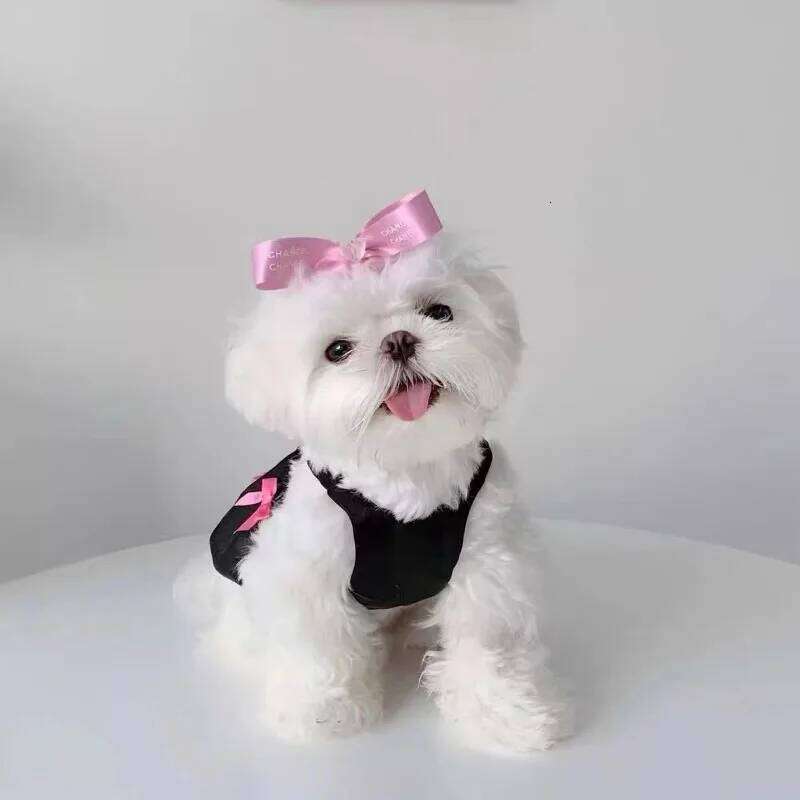 Pet Dresses Princess Wind Flowing Light Gauze Summer Bow Strap Skirt Sling Dress Breathable Thin TeddyPet Dog Clothes H260130