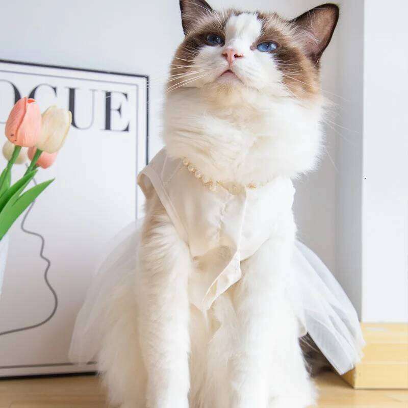 White Girl Dresses for Small Dogs Cats, Bridal Wedding Costume Puppy Princess Dress with Luxury Pearl Flower Bow Dog Clothes H260130