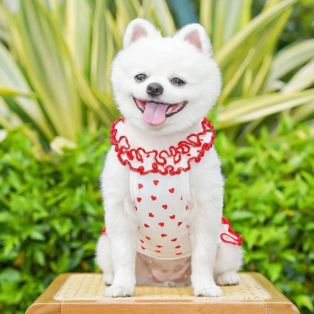 Summer Dress Thin Material Simple Design Pet Skirt Love Heart Print Tank Top Style Cooling Vest H260130