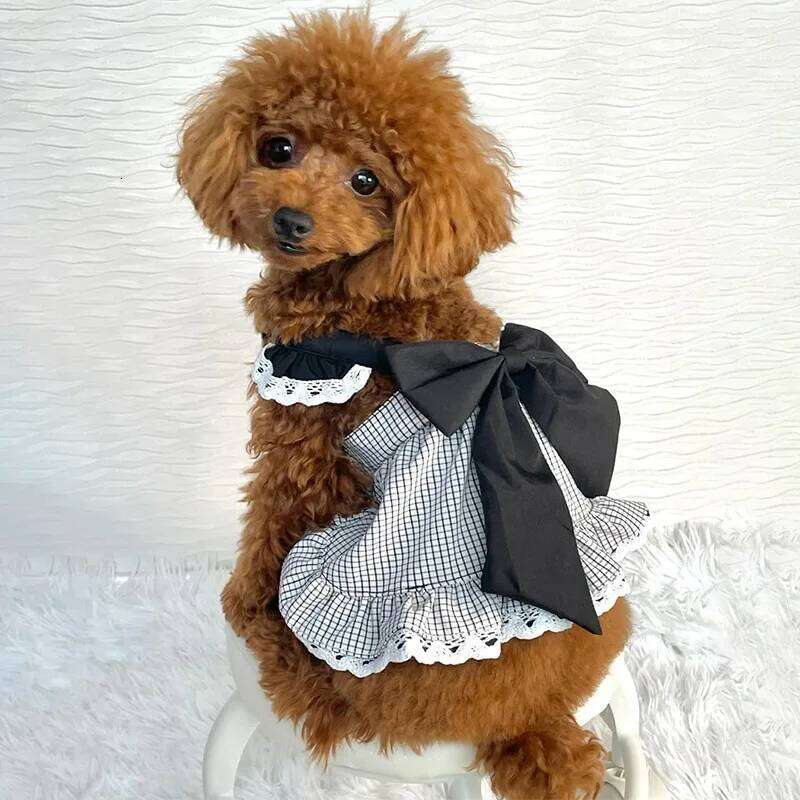 Plaid Ruffle Dresses with Big Bow Teddy Chihuahua Maltese Cat Outfits Medium Dog Clothes H260129