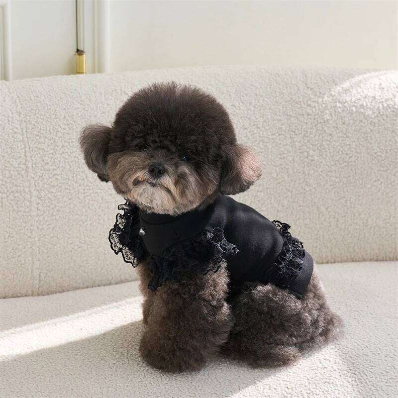 Black Lace Ruffle Shirt for Small Dog Girl Dresses Cat Dress Puppy Outfits Size XS-XL Chihuahua Clothes H260129