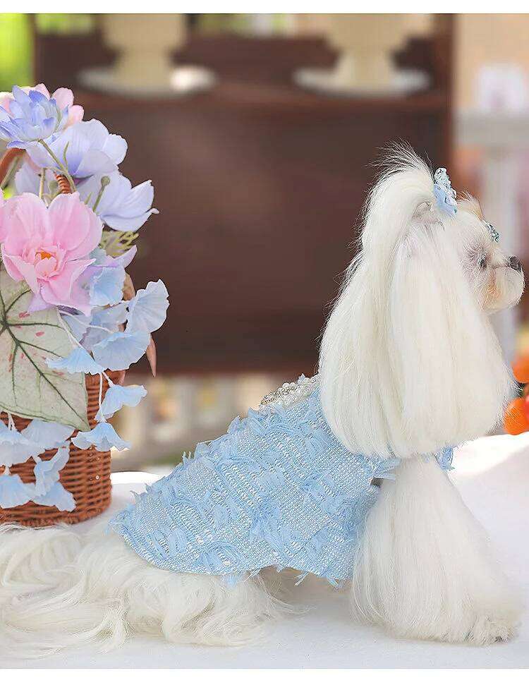 High-End Custom Blue Wool Pearl Collar Pet Dress For Small Dogs H260129
