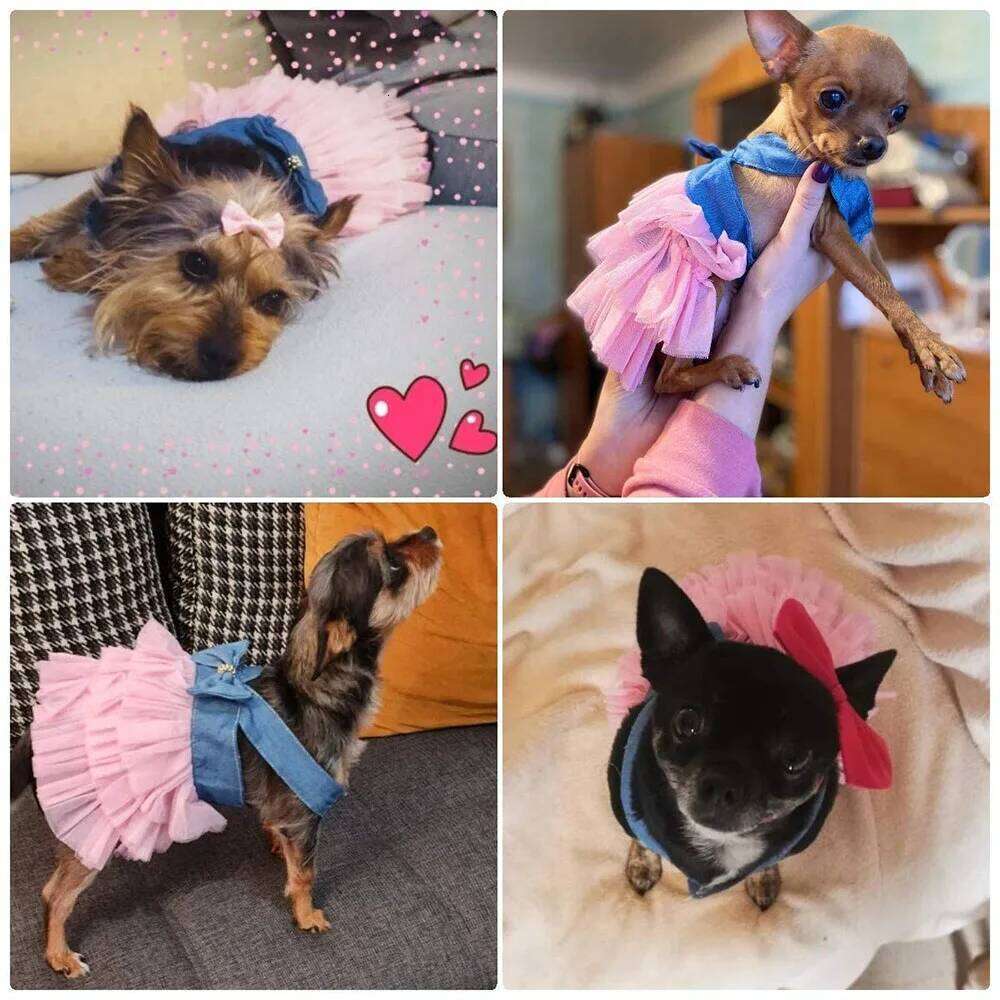 Tutu Bow Knot Dress Pet Princess Striped Mesh Puppy Dog Dresses Doggie Thanksgiving Christmas Clothes H260130